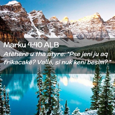 Picture 02 - Marku 4:40 ALB - Atëherë u tha atyre: “Pse jeni ju aq - Bible Verse Picture