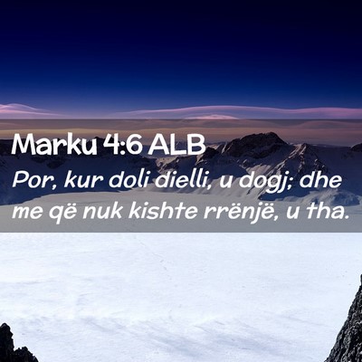 Picture 02 - Marku 4:6 ALB - Por, kur doli dielli, u dogj; dhe me që nuk - Bible Verse Picture