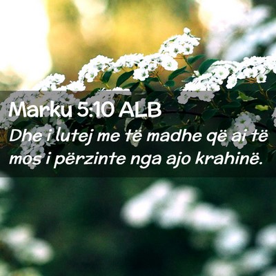 Picture 02 - Marku 5:10 ALB - Dhe i lutej me të madhe që ai të mos i - Bible Verse Picture