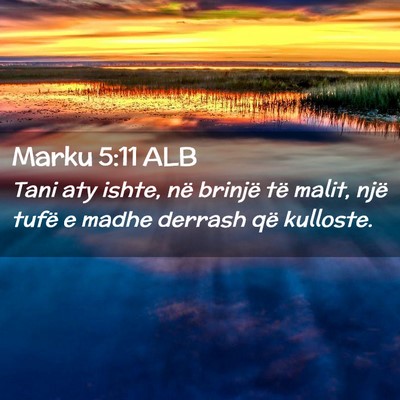 Picture 02 - Marku 5:11 ALB - Tani aty ishte, në brinjë të malit, një tufë - Bible Verse Picture