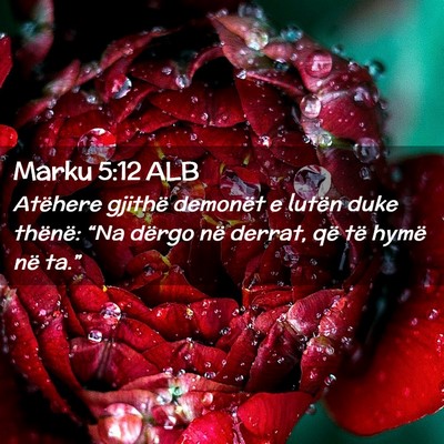 Picture 02 - Marku 5:12 ALB - Atëhere gjithë demonët e lutën duke thënë: - Bible Verse Picture
