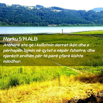 Picture 02 - Marku 5:14 ALB - Atëherë ata që i kullotnin derrat ikën dhe e - Bible Verse Picture