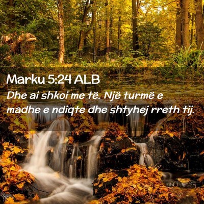 Picture 02 - Marku 5:24 ALB - Dhe ai shkoi me të. Një turmë e madhe e ndiqte - Bible Verse Picture