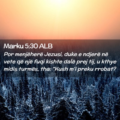 Picture 02 - Marku 5:30 ALB - Por menjëherë Jezusi, duke e ndjerë në vete - Bible Verse Picture