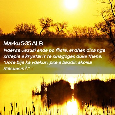 Picture 02 - Marku 5:35 ALB - Ndërsa Jezusi ende po fliste, erdhën disa nga - Bible Verse Picture