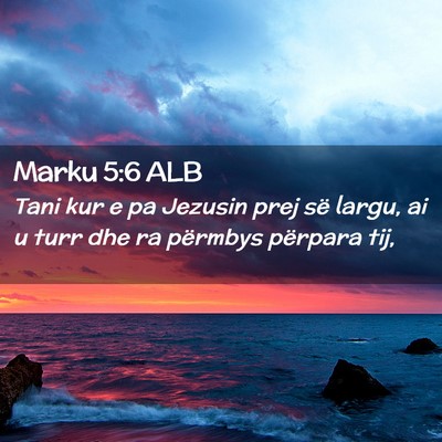 Picture 02 - Marku 5:6 ALB - Tani kur e pa Jezusin prej së largu, ai u turr - Bible Verse Picture