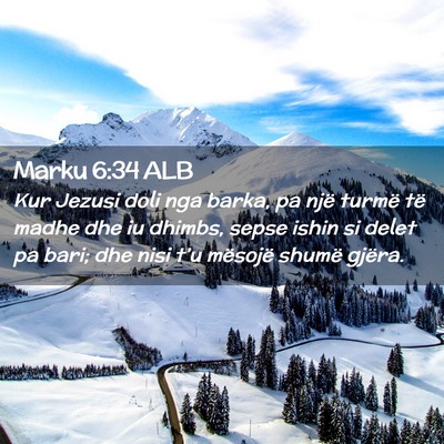 Picture 02 - Marku 6:34 ALB - Kur Jezusi doli nga barka, pa një turmë të - Bible Verse Picture