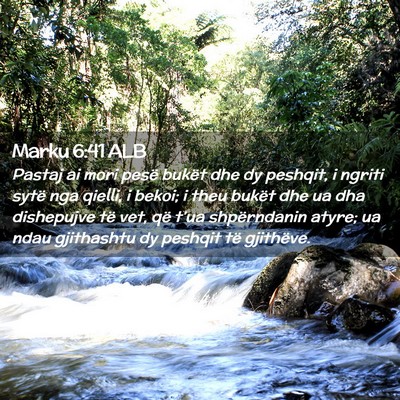 Picture 02 - Marku 6:41 ALB - Pastaj ai mori pesë bukët dhe dy peshqit, i - Bible Verse Picture