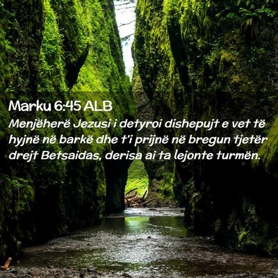 Picture 02 - Marku 6:45 ALB - Menjëherë Jezusi i detyroi dishepujt e vet të - Bible Verse Picture