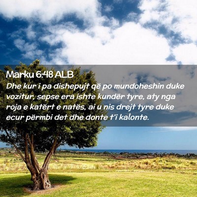 Picture 02 - Marku 6:48 ALB - Dhe kur i pa dishepujt që po mundoheshin duke - Bible Verse Picture