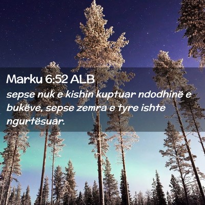 Picture 02 - Marku 6:52 ALB - sepse nuk e kishin kuptuar ndodhinë e bukëve, - Bible Verse Picture