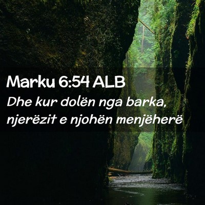 Picture 02 - Marku 6:54 ALB - Dhe kur dolën nga barka, njerëzit e njohën - Bible Verse Picture