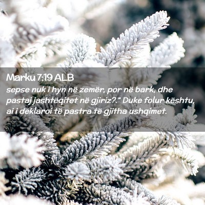 Picture 02 - Marku 7:19 ALB - sepse nuk i hyn në zemër, por në bark, dhe - Bible Verse Picture