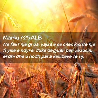 Picture 02 - Marku 7:25 ALB - Në fakt një grua, vajza e së cilës kishte - Bible Verse Picture