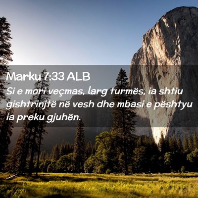 Picture 02 - Marku 7:33 ALB - Si e mori veçmas, larg turmës, ia shtiu - Bible Verse Picture