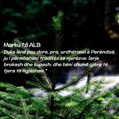 Picture 02 - Marku 7:8 ALB - Duke lënë pas dore, pra, urdhërimin e - Bible Verse Picture