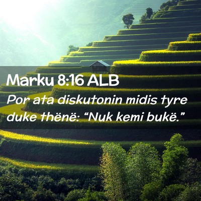 Picture 02 - Marku 8:16 ALB - Por ata diskutonin midis tyre duke thënë: - Bible Verse Picture