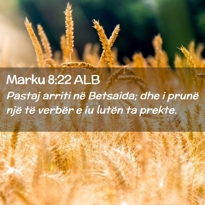 Picture 02 - Marku 8:22 ALB - Pastaj arriti në Betsaida; dhe i prunë një të - Bible Verse Picture