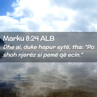 Picture 02 - Marku 8:24 ALB - Dhe ai, duke hapur sytë, tha: “Po shoh njerëz - Bible Verse Picture