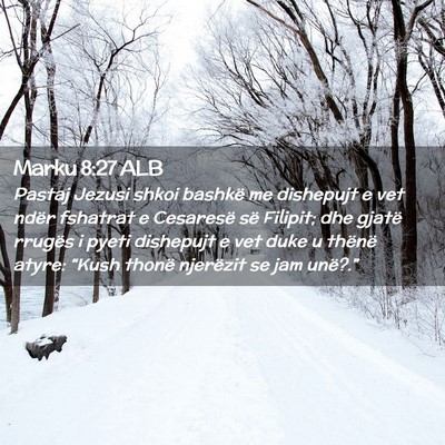 Picture 02 - Marku 8:27 ALB - Pastaj Jezusi shkoi bashkë me dishepujt e vet - Bible Verse Picture