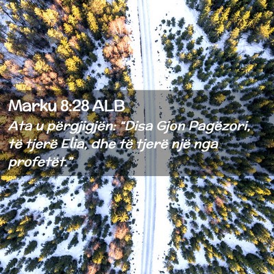 Picture 02 - Marku 8:28 ALB - Ata u përgjigjën: “Disa Gjon Pagëzori, të - Bible Verse Picture
