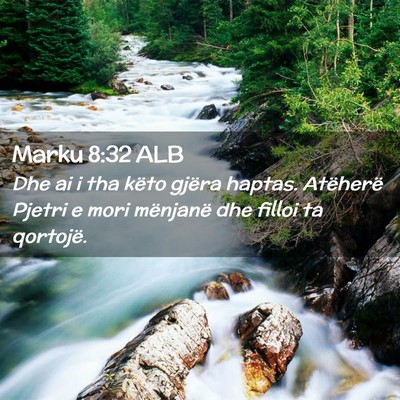 Picture 02 - Marku 8:32 ALB - Dhe ai i tha këto gjëra haptas. Atëherë - Bible Verse Picture