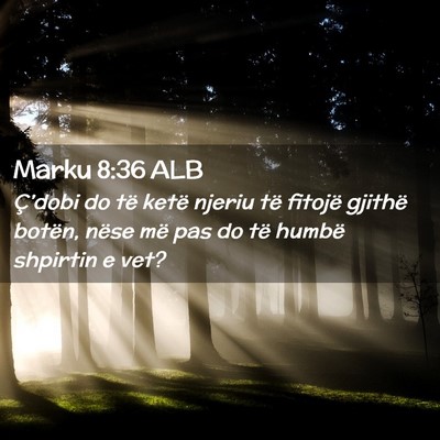 Picture 02 - Marku 8:36 ALB - Ç’dobi do të ketë njeriu të fitojë gjithë - Bible Verse Picture