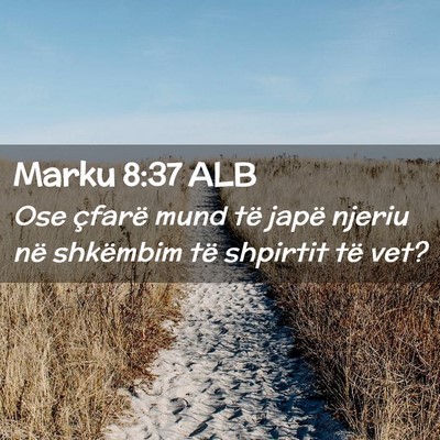 Picture 02 - Marku 8:37 ALB - Ose çfarë mund të japë njeriu në shkëmbim - Bible Verse Picture