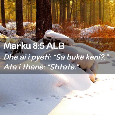 Picture 02 - Marku 8:5 ALB - Dhe ai i pyeti: “Sa bukë keni?.” Ata i - Bible Verse Picture