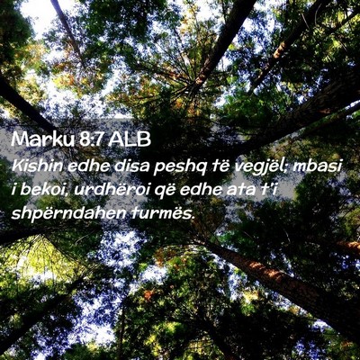 Picture 02 - Marku 8:7 ALB - Kishin edhe disa peshq të vegjël; mbasi i - Bible Verse Picture