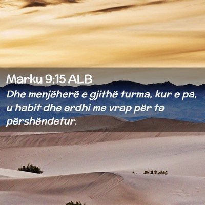 Picture 02 - Marku 9:15 ALB - Dhe menjëherë e gjithë turma, kur e pa, u - Bible Verse Picture