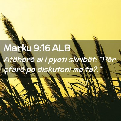 Picture 02 - Marku 9:16 ALB - Atëherë ai i pyeti skribët: “Për çfarë po - Bible Verse Picture