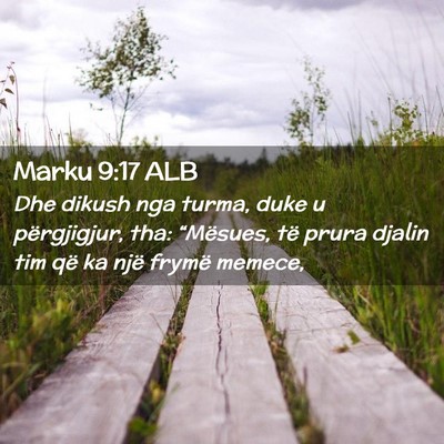 Picture 02 - Marku 9:17 ALB - Dhe dikush nga turma, duke u përgjigjur, tha: - Bible Verse Picture