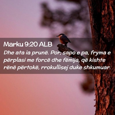 Picture 02 - Marku 9:20 ALB - Dhe ata ia prunë. Por, sapo e pa, fryma e - Bible Verse Picture