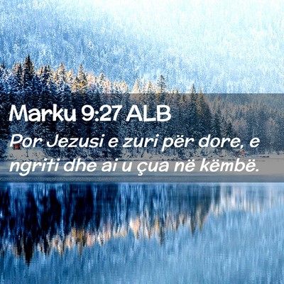 Picture 02 - Marku 9:27 ALB - Por Jezusi e zuri për dore, e ngriti dhe ai u - Bible Verse Picture