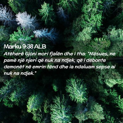 Picture 02 - Marku 9:38 ALB - Atëherë Gjoni mori fjalën dhe i tha: - Bible Verse Picture