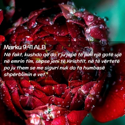 Picture 02 - Marku 9:41 ALB - Në fakt, kushdo që do t’ju japë të pini - Bible Verse Picture