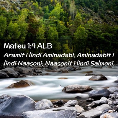 Picture 02 - Mateu 1:4 ALB - Aramit i lindi Aminadabi; Aminadabit i lindi - Bible Verse Picture
