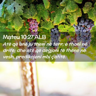 Picture 02 - Mateu 10:27 ALB - Atë që unë ju them në terr, e thoni në - Bible Verse Picture