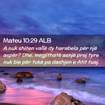 Picture 02 - Mateu 10:29 ALB - A nuk shiten vallë dy harabela për një aspër? - Bible Verse Picture