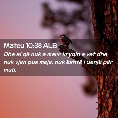 Picture 02 - Mateu 10:38 ALB - Dhe ai që nuk e merr kryqin e vet dhe nuk vjen - Bible Verse Picture