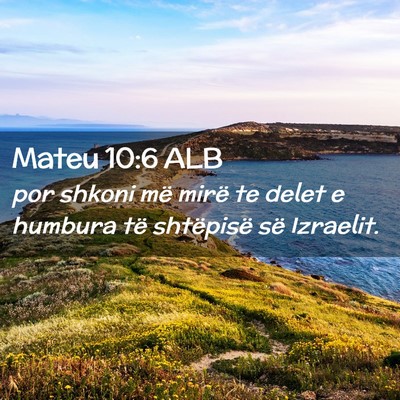 Picture 02 - Mateu 10:6 ALB - por shkoni më mirë te delet e humbura të - Bible Verse Picture