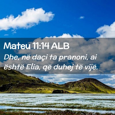 Picture 02 - Mateu 11:14 ALB - Dhe, në daçi ta pranoni, ai është Elia, që - Bible Verse Picture