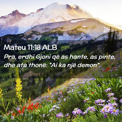 Picture 02 - Mateu 11:18 ALB - Pra, erdhi Gjoni që as hante, as pinte, dhe ata - Bible Verse Picture