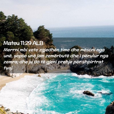Picture 02 - Mateu 11:29 ALB - Merrni mbi vete zgjedhën time dhe mësoni nga - Bible Verse Picture