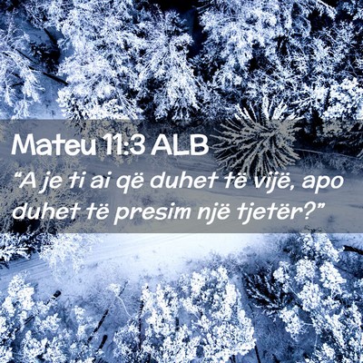 Picture 02 - Mateu 11:3 ALB - “A je ti ai që duhet të vijë, apo duhet të - Bible Verse Picture