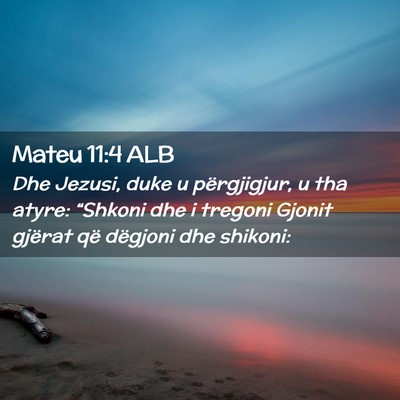 Picture 02 - Mateu 11:4 ALB - Dhe Jezusi, duke u përgjigjur, u tha atyre: - Bible Verse Picture
