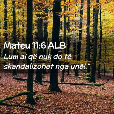 Picture 02 - Mateu 11:6 ALB - Lum ai që nuk do të skandalizohet nga - Bible Verse Picture