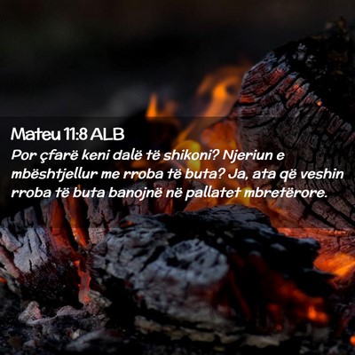 Picture 02 - Mateu 11:8 ALB - Por çfarë keni dalë të shikoni? Njeriun e - Bible Verse Picture