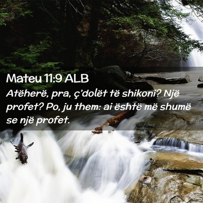Picture 02 - Mateu 11:9 ALB - Atëherë, pra, ç’dolët të shikoni? Një - Bible Verse Picture